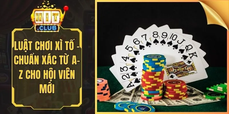 Luật Chơi Xì Tố - Chuẩn Xác Từ A-Z Cho Hội Viên Mới