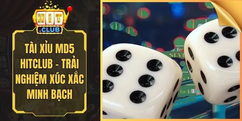 Tài Xỉu MD5 Hitclub - Trải Nghiệm Xúc Xắc Minh Bạch